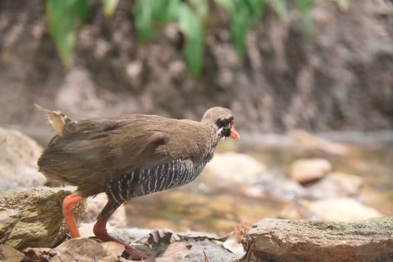 Grasping Okinawa's Charms